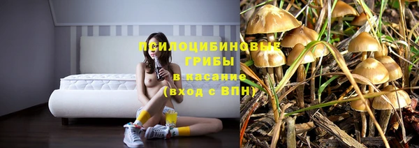 метадон Михайлов