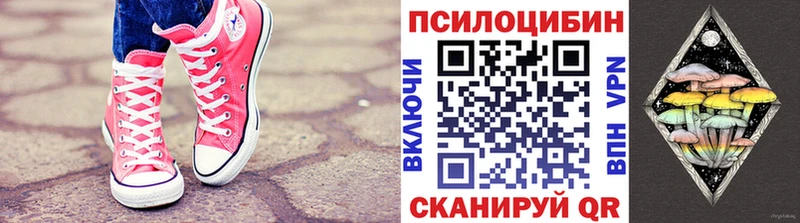 МЕГА онион Райчихинск Галлюциногенные грибы Psilocybe закладки
